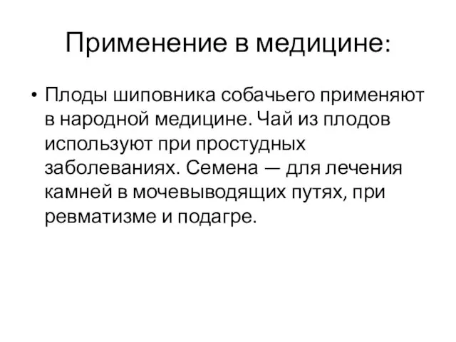 Применение в медицине: Плоды шиповника собачьего применяют в народной медицине. Чай из плодов