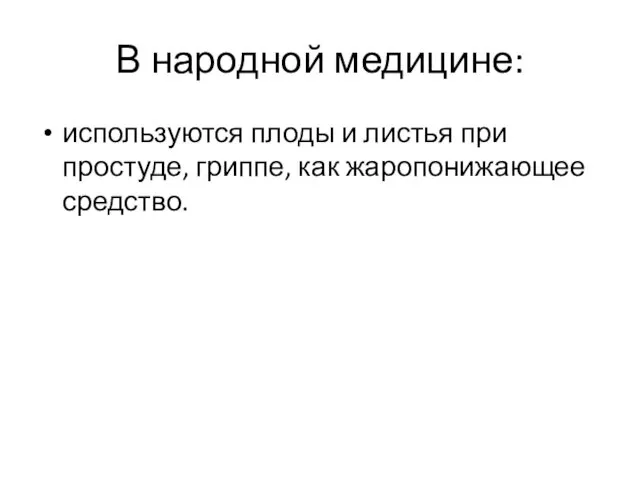 В народной медицине: используются плоды и листья при простуде, гриппе, как жаропонижающее средство.