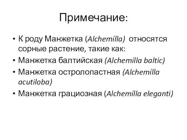 Примечание: К роду Манжетка (Alchemílla) относятся сорные растение, такие как: Манжетка балтийская (Alchemílla