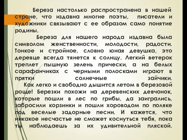 Береза настолько распространена в нашей стране, что издавна многие поэты,