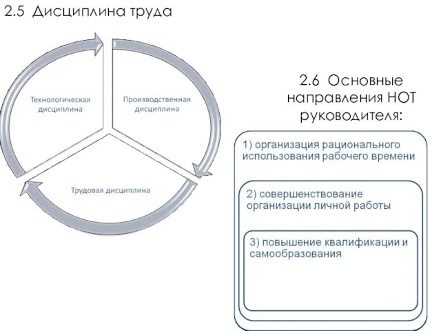 2.5 Дисциплина труда 2.6 Основные направления НОТ руководителя: