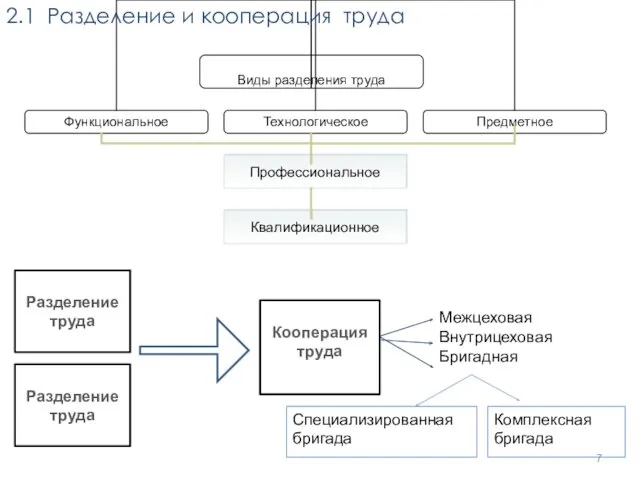 . 2.1 Разделение и кооперация труда