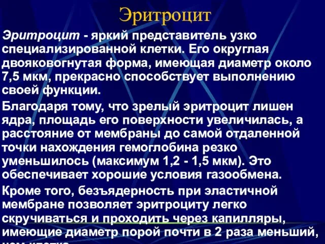 Эритроцит Эритроцит - яркий представитель узко специализированной клетки. Его округлая