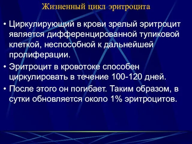 Жизненный цикл эритроцита Циркулирующий в крови зрелый эритроцит является дифференцированной