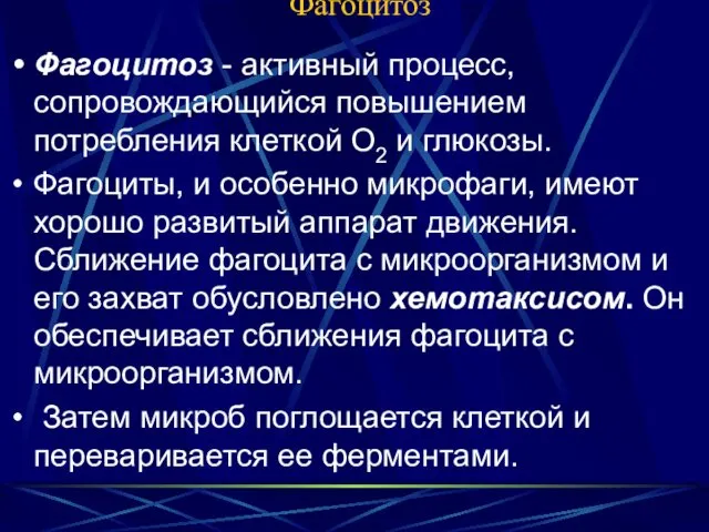 Фагоцитоз Фагоцитоз - активный процесс, сопровождающийся повышением потребления клеткой О2