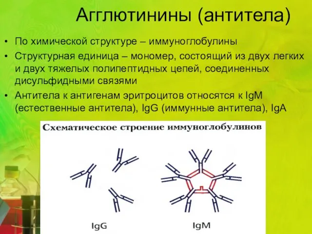 Агглютинины (антитела) По химической структуре – иммуноглобулины Структурная единица –