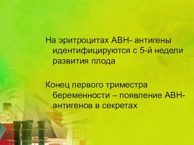 На эритроцитах АВН- антигены идентифицируются с 5-й недели развития плода