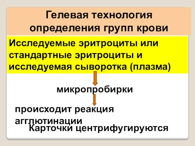 Гелевая технология определения групп крови Исследуемые эритроциты или стандартные эритроциты