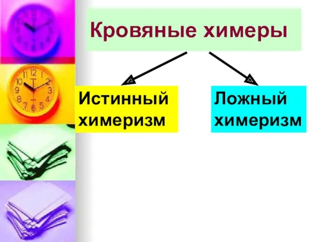 Кровяные химеры Истинный химеризм Ложный химеризм