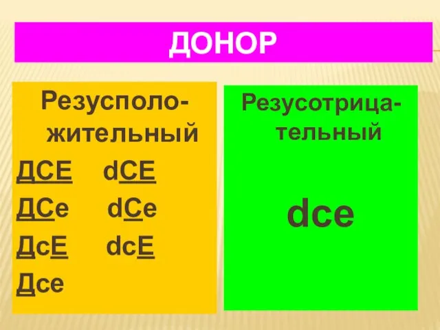 ДОНОР Резусполо-жительный ДСЕ dСЕ ДСe dСe ДcЕ dcЕ Дce Резусотрица-тельный dce