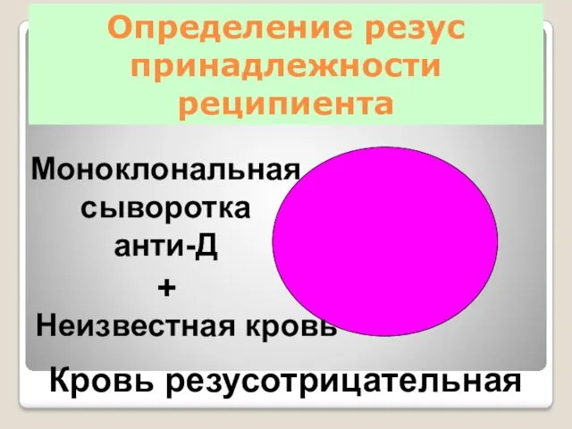 Определение резус принадлежности реципиента Кровь резусотрицательная + Неизвестная кровь Моноклональная сыворотка анти-Д