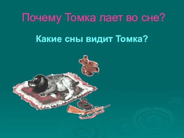 Почему Томка лает во сне? Какие сны видит Томка?