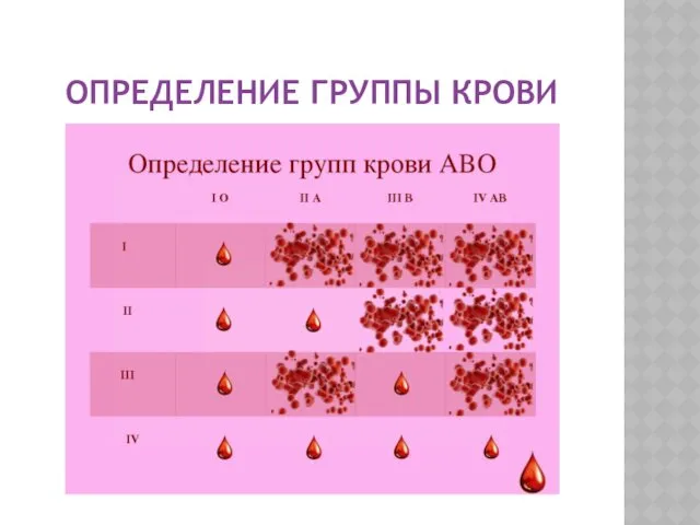 ОПРЕДЕЛЕНИЕ ГРУППЫ КРОВИ