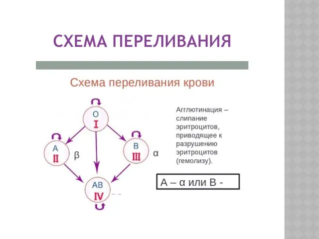 СХЕМА ПЕРЕЛИВАНИЯ