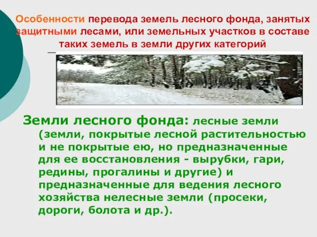 Особенности перевода земель лесного фонда, занятых защитными лесами, или земельных