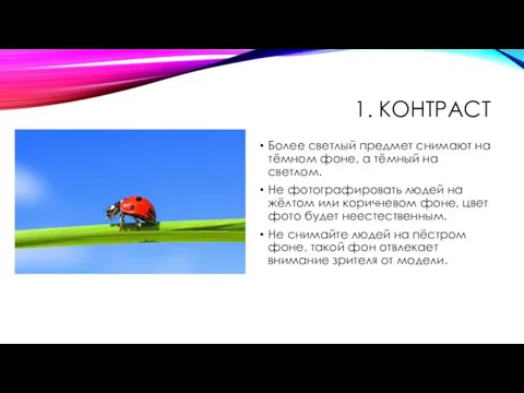 1. КОНТРАСТ Более светлый предмет снимают на тёмном фоне, а