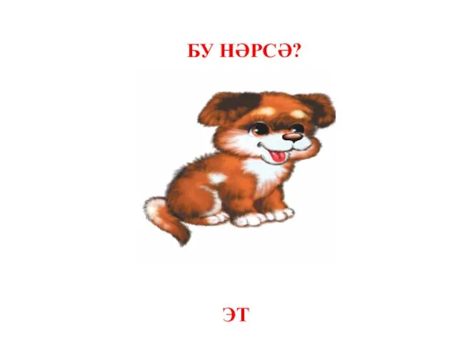 БУ НӘРСӘ? ЭТ