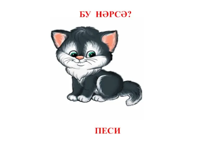 БУ НӘРСӘ? ПЕСИ