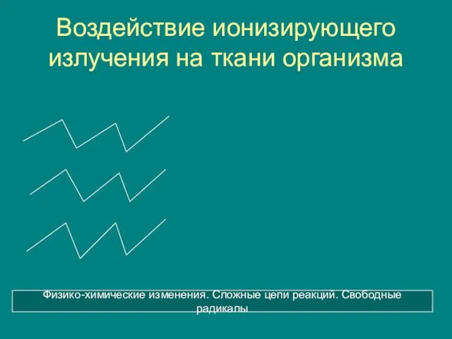 Воздействие ионизирующего излучения на ткани организма Физико-химические изменения. Сложные цепи реакций. Свободные радикалы