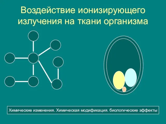 Воздействие ионизирующего излучения на ткани организма Химические изменения. Химическая модификация. биологические эффекты