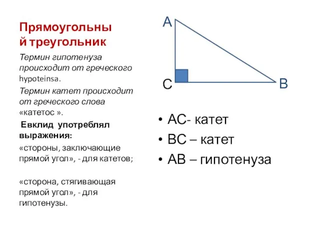 Прямоугольный треугольник АС- катет ВС – катет АВ – гипотенуза Термин гипотенуза происходит