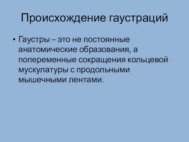 Происхождение гаустраций Гаустры – это не постоянные анатомические образования, а