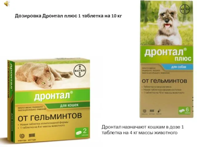 Дронтал назначают кошкам в дозе 1 таблетка на 4 кг массы животного Дозировка