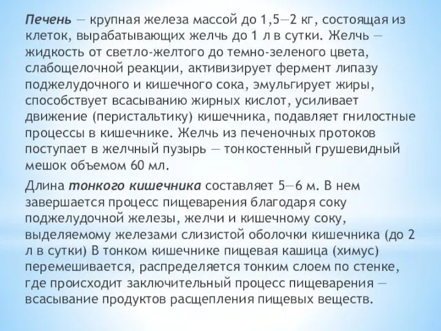 Печень — крупная железа массой до 1,5—2 кг, состоящая из