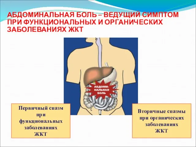 АБДОМИНАЛЬНАЯ БОЛЬ – ВЕДУЩИЙ СИМПТОМ ПРИ ФУНКЦИОНАЛЬНЫХ И ОРГАНИЧЕСКИХ ЗАБОЛЕВАНИЯХ