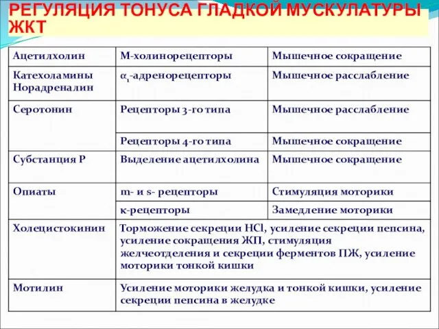 РЕГУЛЯЦИЯ ТОНУСА ГЛАДКОЙ МУСКУЛАТУРЫ ЖКТ