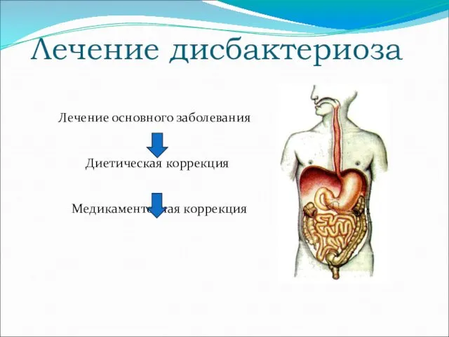 Лечение дисбактериоза Лечение основного заболевания Диетическая коррекция Медикаментозная коррекция