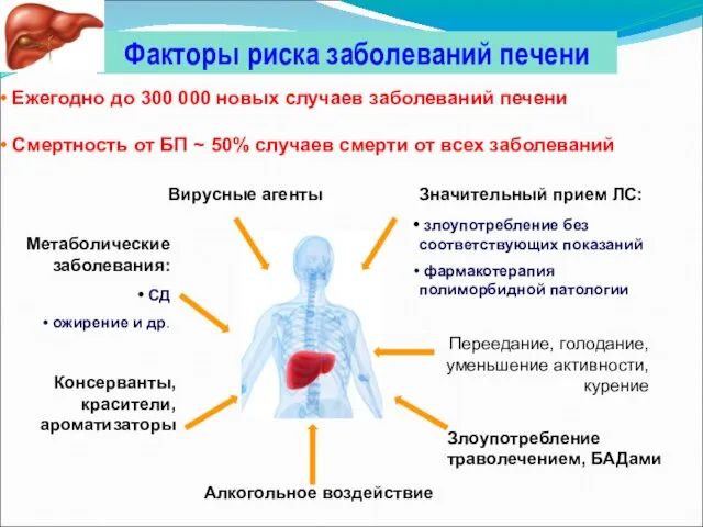 Факторы риска заболеваний печени Значительный прием ЛС: злоупотребление без соответствующих