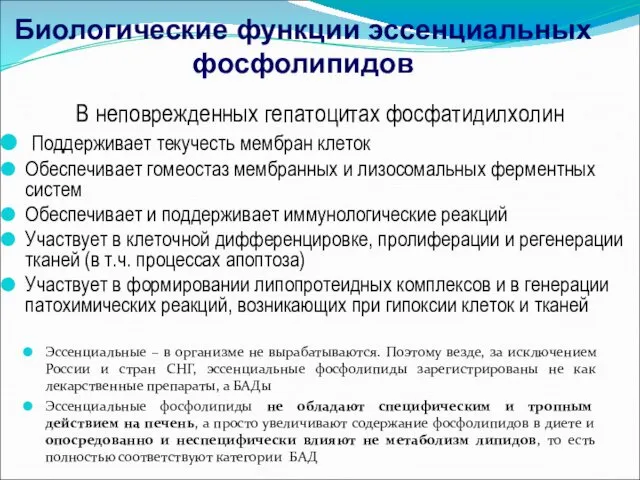 В неповрежденных гепатоцитах фосфатидилхолин Поддерживает текучесть мембран клеток Обеспечивает гомеостаз