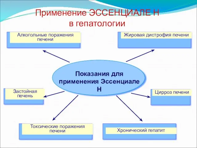 Применение ЭССЕНЦИАЛЕ Н в гепатологии