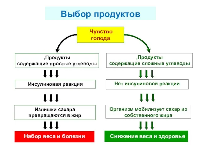 Чувство голода Выбор продуктов Продукты, содержащие простые углеводы Организм мобилизует сахар из собственного