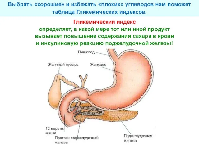 Выбрать «хорошие» и избежать «плохих» углеводов нам поможет таблица Гликемических