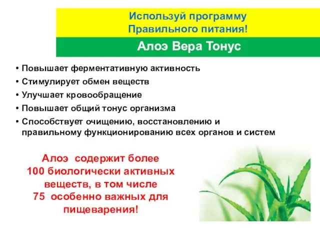 Алоэ содержит более 100 биологически активных веществ, в том числе 75 особенно важных