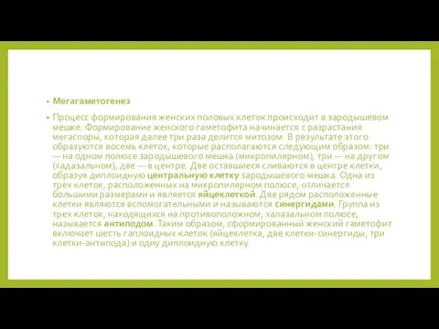 Мегагаметогенез Процесс формирования женских половых клеток происходит в зародышевом мешке.