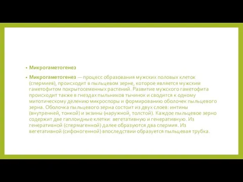 Микрогаметогенез Микрогаметогенез — процесс образования мужских половых клеток (спермиев), происходит