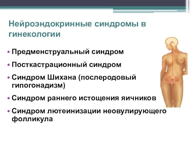 Нейроэндокринные синдромы в гинекологии Предменструальный синдром Посткастрационный синдром Синдром Шихана