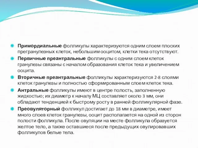 Примордиальные фолликулы характеризуются одним слоем плоских прегранулезных клеток, небольшим ооцитом, клетки тека отсутствуют.