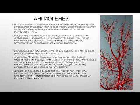 АНГИОГЕНЕЗ ВОСПАЛИТЕЛЬНЫЕ СОСТОЯНИЯ, ТРАВМЫ КОЖИ (ИНЪЕКЦИИ, ПИЛИНГИ) – ПРИ ЭТИХ