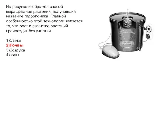 На рисунке изображён способ выращивания растений, получивший название гидропоника. Главной