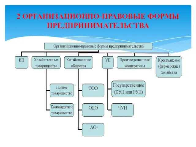 2 ОРГАНИЗАЦИОННО-ПРАВОВЫЕ ФОРМЫ ПРЕДПРИНИМАТЕЛЬСТВА