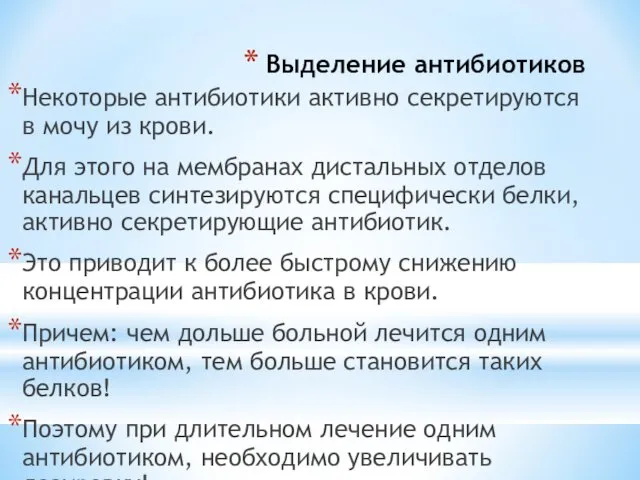 Выделение антибиотиков Некоторые антибиотики активно секретируются в мочу из крови. Для этого на