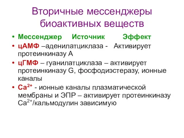 Вторичные мессенджеры биоактивных веществ Мессенджер Источник Эффект цАМФ –аденилатциклаза -