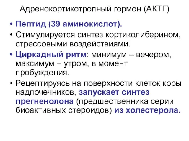 Адренокортикотропный гормон (АКТГ) Пептид (39 аминокислот). Стимулируется синтез кортиколиберином, стрессовыми