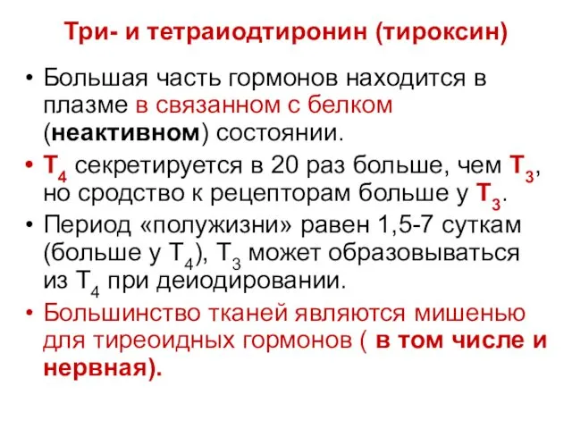 Три- и тетраиодтиронин (тироксин) Большая часть гормонов находится в плазме