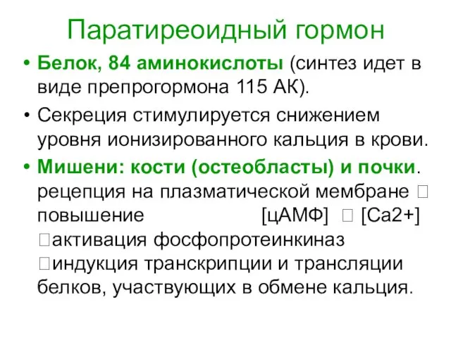 Паратиреоидный гормон Белок, 84 аминокислоты (синтез идет в виде препрогормона