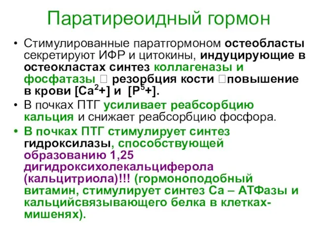 Паратиреоидный гормон Стимулированные паратгормоном остеобласты секретируют ИФР и цитокины, индуцирующие